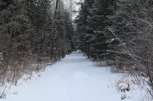 2616 Wickes Rd, West Branch, MI 48661 - Photo 76