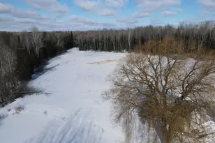 2616 Wickes Rd, West Branch, MI 48661 - Photo 56