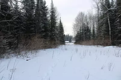 2616 Wickes Road, West Branch, MI 48661 - Photo 66