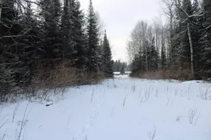 2616 Wickes Rd, West Branch, MI 48661 - Photo 66