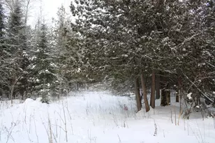 2616 Wickes Rd, West Branch, MI 48661 - Photo 70