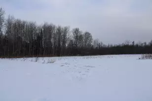 2616 Wickes Rd, West Branch, MI 48661 - Photo 60