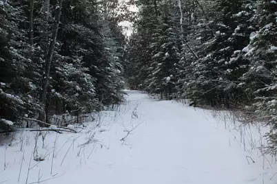 2616 Wickes Road, West Branch, MI 48661 - Photo 78