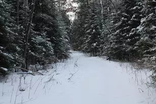 2616 Wickes Rd, West Branch, MI 48661 - Photo 78