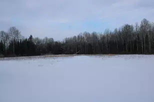 2616 Wickes Rd, West Branch, MI 48661 - Photo 58