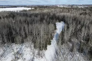 2616 Wickes Rd, West Branch, MI 48661 - Photo 48