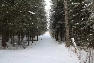 2616 Wickes Rd, West Branch, MI 48661 - Photo 74