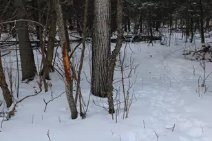 2616 Wickes Rd, West Branch, MI 48661 - Photo 82