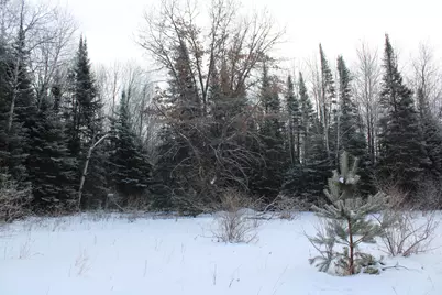 2616 Wickes Road, West Branch, MI 48661 - Photo 80