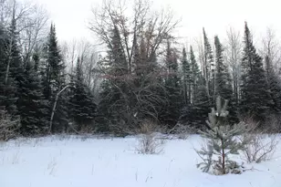 2616 Wickes Rd, West Branch, MI 48661 - Photo 80