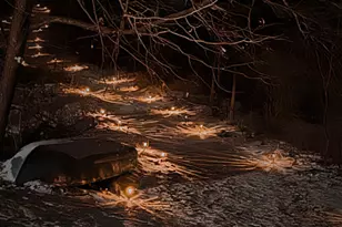 4337 Holland Lake Rd, Sheridan, MI 48884 - Photo 16