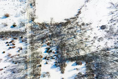 Vl Cemetery Street, Cassopolis, MI 49031 - Photo 2