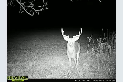 Vl Bond Road, Decatur, MI 49045 - Photo 22