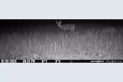 Vl Bond Road, Decatur, MI 49045 - Photo 28