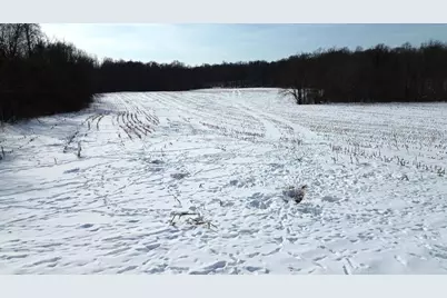 Vl Bond Road, Decatur, MI 49045 - Photo 16