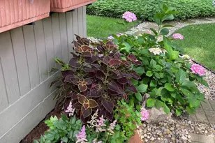 1508 Pinecrest Ave SE, Grand Rapids, MI 49506 - Photo 50