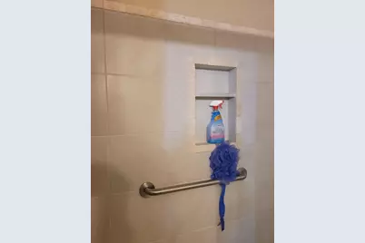 41276 N Woodbury Green Drive, Belleville, MI 48111 - Photo 10