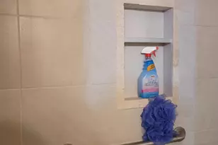 41276 N Woodbury Green Dr, Belleville, MI 48111 - Photo 10