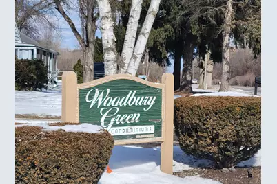 41276 N Woodbury Green Drive, Belleville, MI 48111 - Photo 1