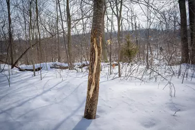 5100 Long Lake Road, Reading, MI 49274 - Photo 56