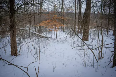 5100 Long Lake Road, Reading, MI 49274 - Photo 66