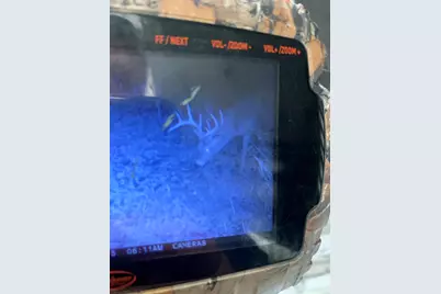 5100 Long Lake Road, Reading, MI 49274 - Photo 78