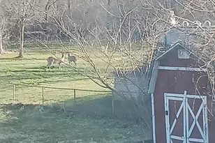 4376 E Snow Rd, Berrien Springs, MI 49103 - Photo 20