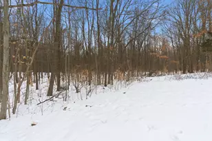 6606 Spaniel Dr, Kalamazoo, MI 49009 - Photo 48