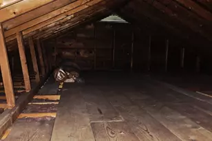 2864 Bluff St, Stevensville, MI 49127 - Photo 14