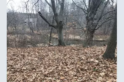 12923 Riverview Drive, Gowen, MI 49326 - Photo 4