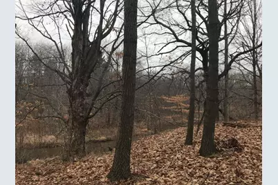 12923 Riverview Drive, Gowen, MI 49326 - Photo 1