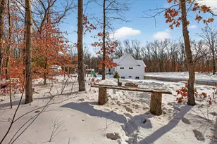 23232 Shorecrest Woods Dr, Pierson, MI 49339 - Photo 64