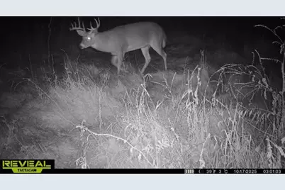 Vl 0000 Cooper Rd Road, Dowling, MI 49050 - Photo 30