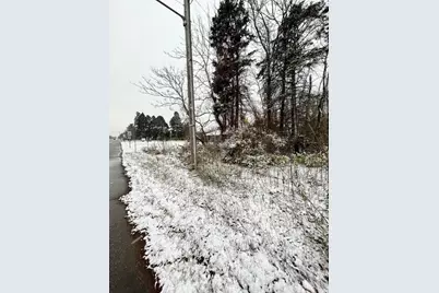 0 Red Arrow Highway, Saint Joseph, MI 49085 - Photo 1