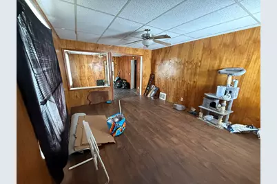 487 N Cass Street, Morley, MI 49336 - Photo 8