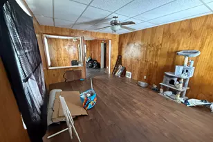 487 N Cass St, Morley, MI 49336 - Photo 8