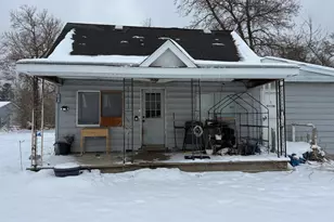 487 N Cass St, Morley, MI 49336 - Photo 2