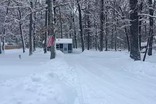 17323 Marian St, Wellston, MI 49689 - Photo 8