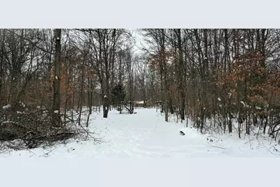 50519 County Road 388, Grand Junction, MI 49056 - Photo 10