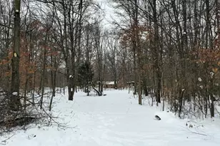 50519 Co Rd 388, Grand Junction, MI 49056 - Photo 10