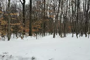 50519 Co Rd 388, Grand Junction, MI 49056 - Photo 8