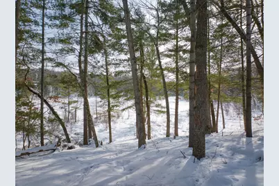 8310 N Perch Lake Drive, Bitely, MI 49309 - Photo 14