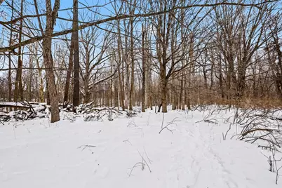 772 39th Street, Allegan, MI 49010 - Photo 36