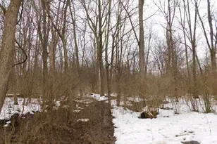 1050 Pine St, Niles, MI 49120 - Photo 44