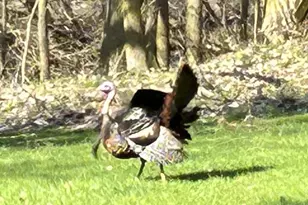 3345 Brook Trail SE, Grand Rapids, MI 49508 - Photo 40