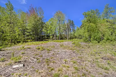 Lot 35/36 Pine Ridge Drive, Ludington, MI 49431 - Photo 10