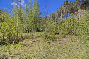 Lot 35/36 Pine Ridge Dr, Ludington, MI 49431 - Photo 16