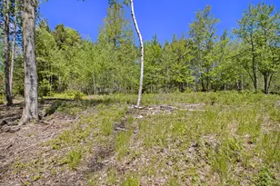 Lot 35/36 Pine Ridge Dr, Ludington, MI 49431 - Photo 12