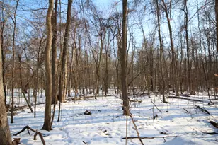 25395 Flach Rd, Mendon, MI 49072 - Photo 30