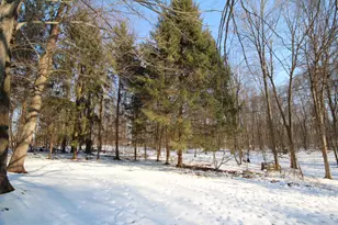 25395 Flach Rd, Mendon, MI 49072 - Photo 28